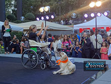 Estimada Mascota 2012